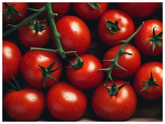 अमेरिकेत टोमॅटोला किती दर?