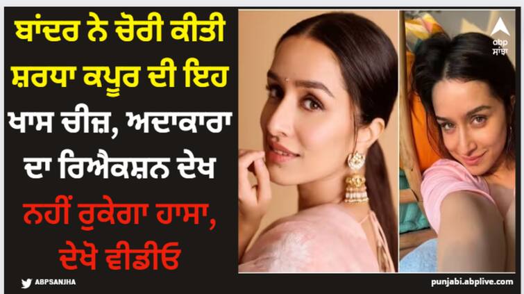 shraddha-kapoor-snack-gets-stolen-by-a-monkey-actress-shares-says-aur-kuch-nahi-churaana-bandar Shraddha Kapoor: ਬਾਂਦਰ ਨੇ ਚੋਰੀ ਕੀਤੀ ਸ਼ਰਧਾ ਕਪੂਰ ਦੀ ਇਹ ਖਾਸ ਚੀਜ਼, ਅਦਾਕਾਰਾ ਦਾ ਰਿਐਕਸ਼ਨ ਦੇਖ ਨਹੀਂ ਰੁਕੇਗਾ ਹਾਸਾ, ਦੇਖੋ ਵੀਡੀਓ