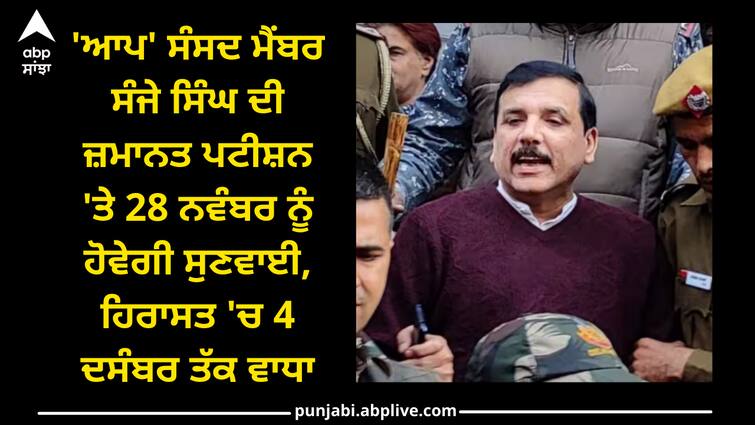 delhi-excise-policy-case-aap-mp-sanjay-singh-bail-verdict-on-28-november-judicial-custody-extend Delhi Liquor Policy: 'ਆਪ' ਸੰਸਦ ਮੈਂਬਰ ਸੰਜੇ ਸਿੰਘ ਦੀ ਜ਼ਮਾਨਤ ਪਟੀਸ਼ਨ 'ਤੇ 28 ਨਵੰਬਰ ਨੂੰ ਹੋਵੇਗੀ ਸੁਣਵਾਈ, ਹਿਰਾਸਤ 'ਚ 4 ਦਸੰਬਰ ਤੱਕ ਵਾਧਾ