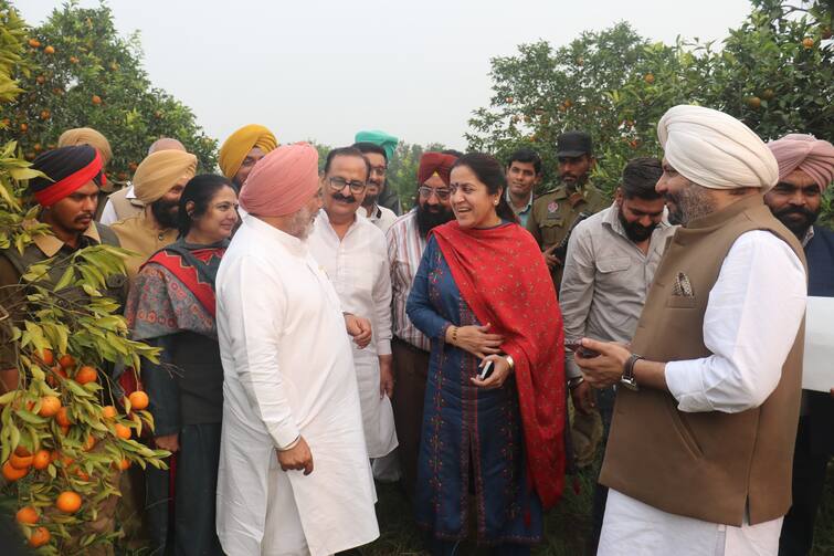 Horticulture will be the next goal of Punjab farmers, government will give all help: Chetan Singh Jaudamajra Horticulture: ਝੋਨਾ ਲਗਾਉਣ ਵਾਲੇ ਧਿਆਨ ਦੇਣ, ਬਾਗ਼ਬਾਨੀ ਬਣੇਗੀ ਪੰਜਾਬ ਦੇ ਕਿਸਾਨਾਂ ਦਾ ਅਗਲਾ ਟੀਚਾ, ਸਰਕਾਰ ਦੇਵੇਗੀ ਹਰ ਮਦਦ