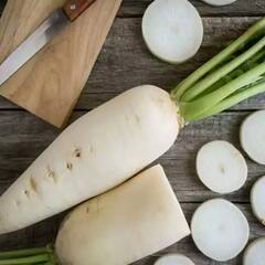 ਮੂਲੀ ਦੇ ਪਰਾਠੇ ਖਾਣ ਤੋਂ ਪਹਿਲਾਂ ਜਾਣ ਲਓ ਇਸ ਦੇ ਨੁਕਸਾਨ