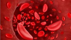 Lifestyle:হিমোগ্লোবিনের মাত্রা বরাবরই কম থাকে? ৫ পানীয় বদলাতে পারে ছবি