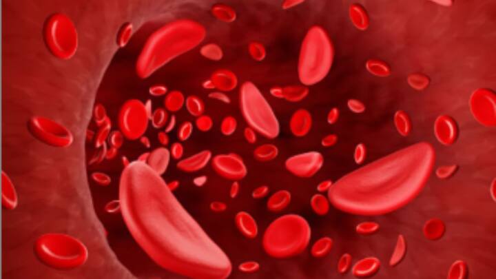 Health Drinks To Hemoglobin Levels: রক্তে হিমোগ্লোবিনের মাত্রা কম থাকে? বাড়িতে তৈরি করা যায় এমন কয়েকটি পানীয় 'ট্রাই' করে দেখেছেন?