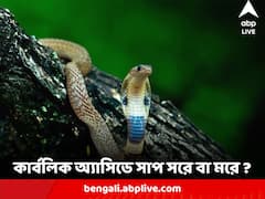 Snake Bite : কার্বলিক অ্যাসিডে সাপ সরে বা মরে ?