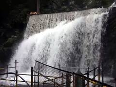 மேற்கு தொடர்ச்சி மலையில் ஆர்ப்பரிக்கும் சுருளி அருவி நீர்!