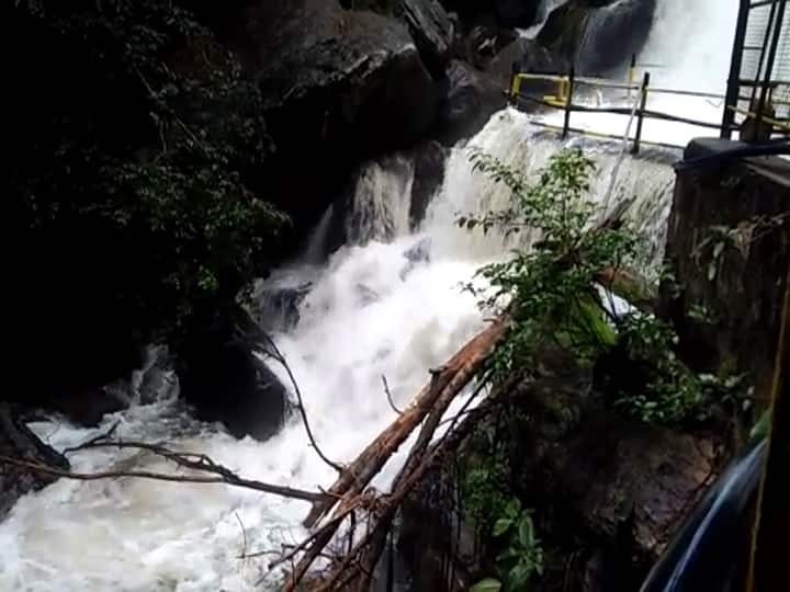 அருவியிலிருந்து ஆறாக ஓடும் வெள்ள நீர்