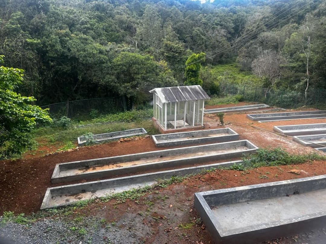 Exclusive : கோத்தகிரி லாங்வுட் சோலையில் சுற்றுலா தலம் அமைக்க சூழலியல் ஆர்வலர்கள் எதிர்ப்பு ; நடந்தது என்ன?