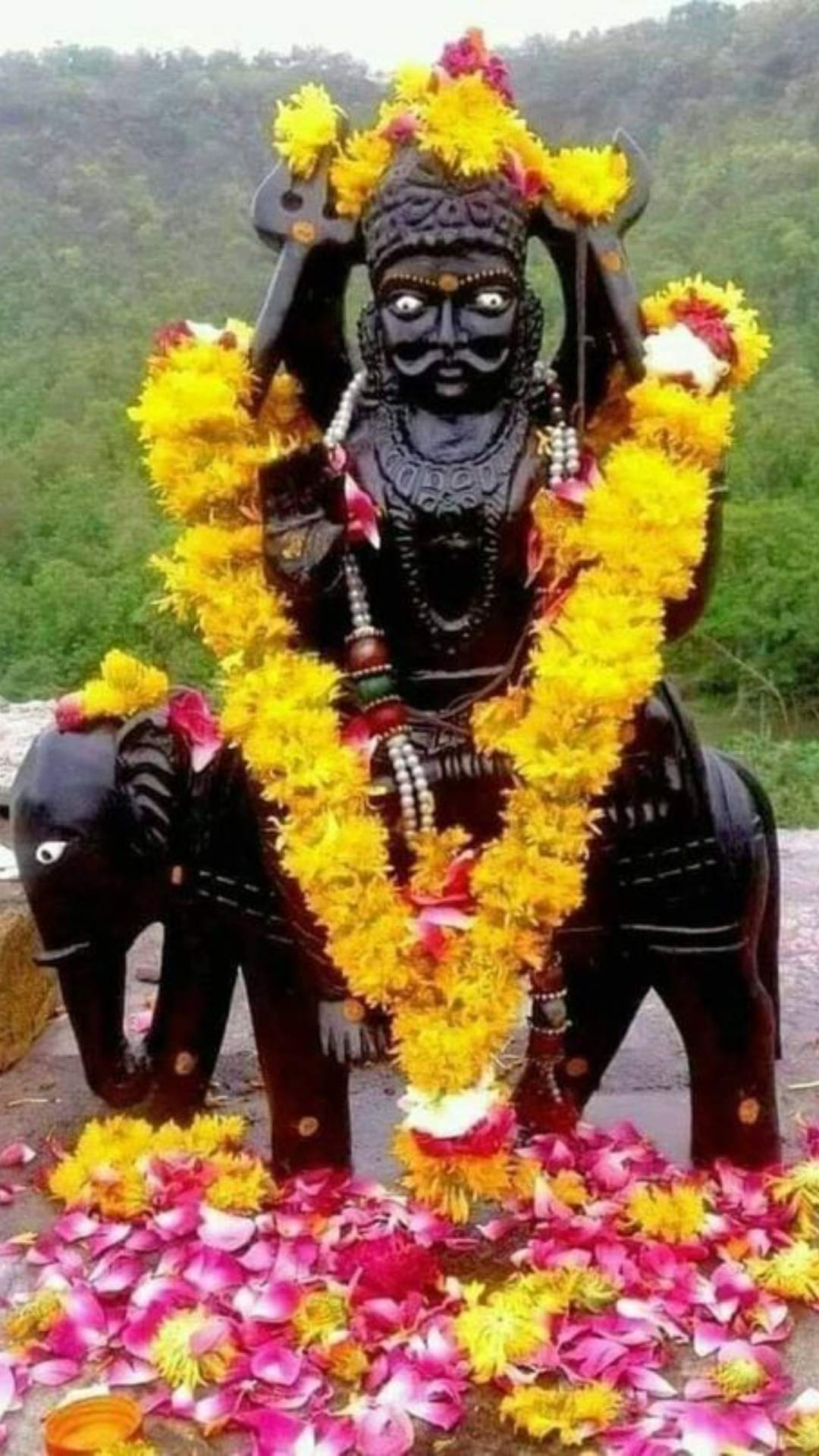 शनि वर्तमान में कुंभ राशि में विराजमान हैं और