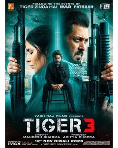 Tiger 3 Box Office Collection Worldwide: 'टाइगर 3' ने दुनियाभर में बटोर लिए इतने करोड़, जानें सलमान खान की फिल्म का टोटल कलेक्शन