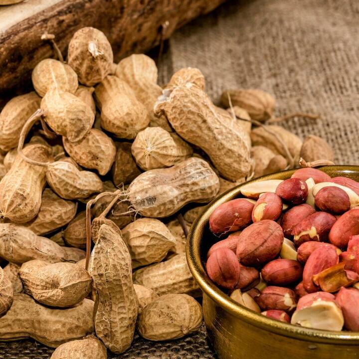 ਸ਼ੂਗਰ ਰੋਗੀਆਂ ਨੂੰ ਬਲੱਡ ਸ਼ੂਗਰ ਨੂੰ ਕੰਟਰੋਲ ਕਰਨ ਅਤੇ ਦਿਲ ਦੀ ਬਿਮਾਰੀ ਦੇ ਜੋਖਮ ਨੂੰ ਘਟਾਉਣ ਲਈ ਸੰਤੁਲਿਤ ਖੁਰਾਕ ਬਣਾਈ ਰੱਖਣੀ ਚਾਹੀਦੀ ਹੈ।