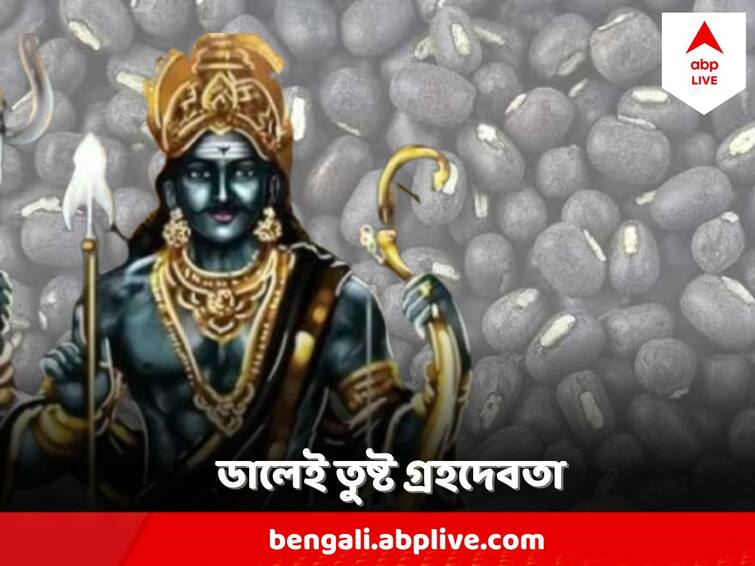 Pray Shani Dev With urad dal to get blessings of shani dev Shani Dev : শনিদেবের আশীর্বাদ এনে দেবে একটি ডালের ব্যবহার ! শনিবার সন্ধেয় অবশ্যই মানুন এই সহজ রীতি