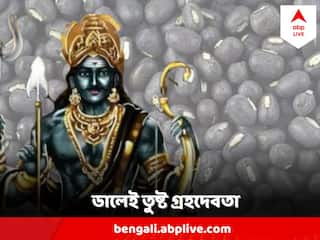 Shani Dev : শনিদেবের আশীর্বাদ এনে দেবে একটি ডালের ব্যবহার ! শনিবার সন্ধেয় অবশ্যই মানুন এই সহজ রীতি