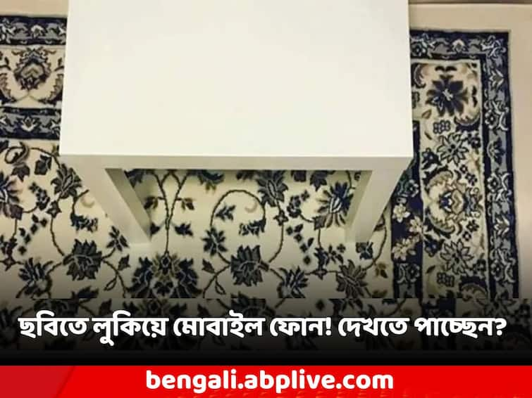 Viral Image Optical illusion The mobile phone is hidden in the picture, can you see it Optical Illusion: ছবিটিতে লুকিয়ে রয়েছে মোবাইল ফোন, আপনার চোখে ধরা পড়ছে সেটি?