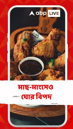 মাছ-মুরগির শরীরেও অ্যান্টিবায়োটিক প্রয়োগ