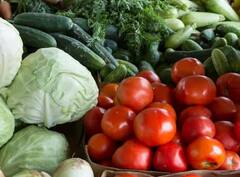 Kitchen Gardening Tips: ਘਰ ਦੀ ਛੱਤ ‘ਤੇ ਲਾਓ ਇਹ ਸਬਜ਼ੀਆਂ, ਮਹੀਨੇ ਦਾ ਖਰਚ ਹੋ ਜਾਵੇਗਾ ਘੱਟ