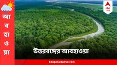 নভেম্বরের শেষে জমিয়ে শীতের আমেজ উত্তরবঙ্গে? কেমন থাকবে আবহাওয়া?