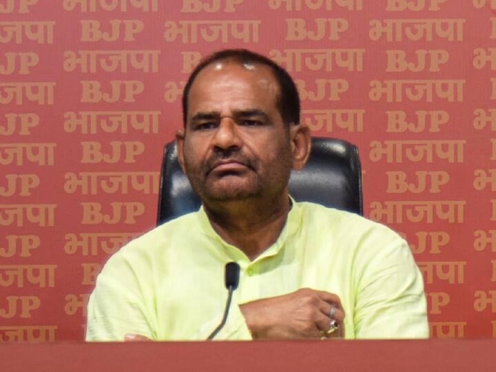 Cash For Query Row BJP MP Ramesh Bidhuri statement on TMC Leader Mahua Moitra end her Lok Sabha membership 'सबसे पहले महुआ मोइत्रा की सदस्यता खत्म करनी चाहिए', कैश फॉर क्वैरी मामले पर बोले बीजेपी सांसद रमेश बिधूड़ी