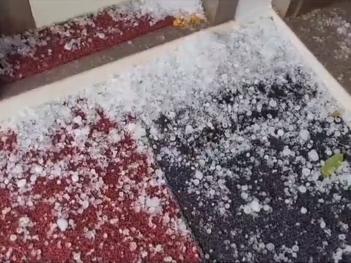 Intense Hailstorm Whitewashes Parts Of Gujarat As Sudden Rain Lashes State: See Pics