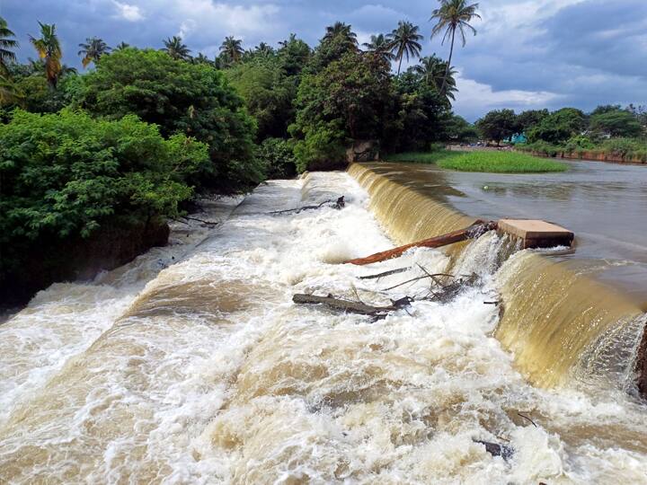 பெருக்கெடுத்து ஓடும் கண்களை கவரும் வகையில் முல்லை பெரியாறு