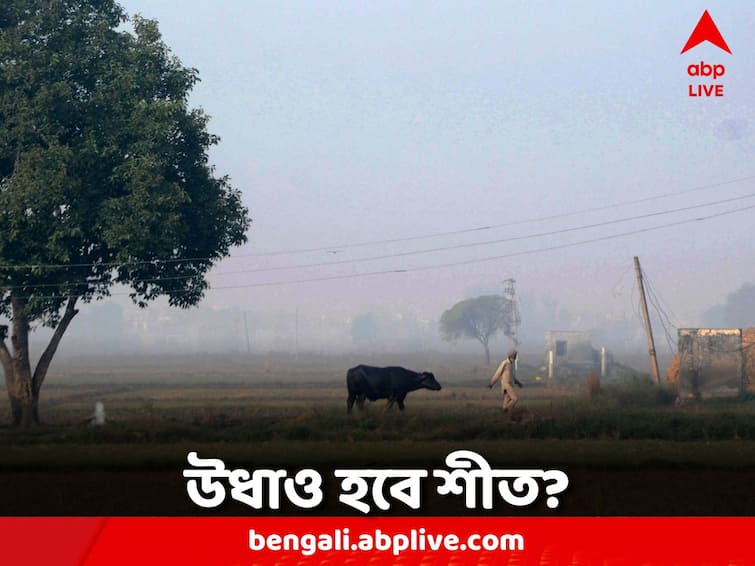 West Bengal Winter Forecast Depression Update Weather might change from next week Winter Forecast: শীতের পথে কাঁটা! ফের ঘূর্ণাবর্ত ও নিম্নচাপের ভ্রুকুটি, হাওয়া বদলের পূর্বাভাস