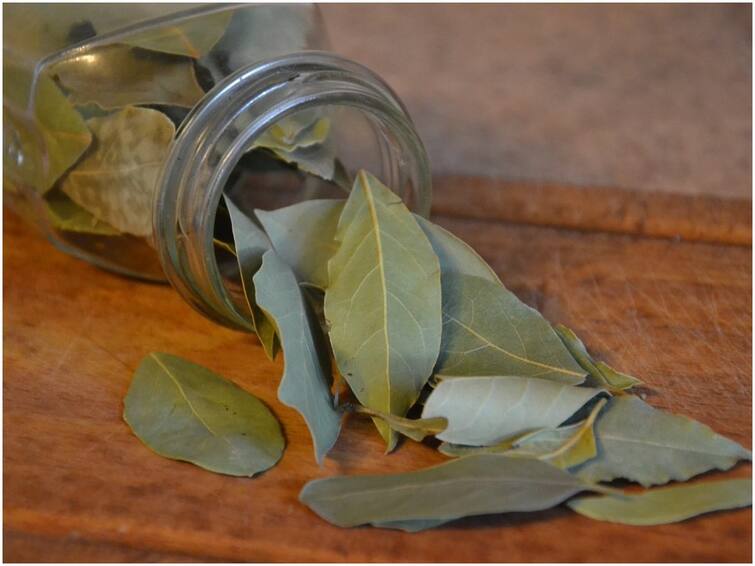 Know the health benefits of eating biryani leaves Bay Leaf: బిర్యానీ ఆకులు తినకుండా పడేస్తున్నారా? మీకే నష్టం