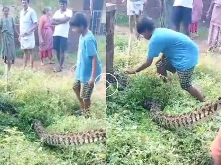 इस लड़के ने अपने हाथों में पकड़ा विशाल सांप, वीडियो देखकर रह जाएंगे दंग Younger boy catching big snake social media shocked by watching video इस लड़के ने अपने हाथों में पकड़ा विशाल सांप, वीडियो देखकर रह जाएंगे दंग
