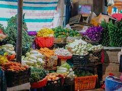 Kitchen Gardening Tips: ਘਰ ਦੀ ਛੱਤ ‘ਤੇ ਲਾਓ ਇਹ ਸਬਜ਼ੀਆਂ, ਮਹੀਨੇ ਦਾ ਖਰਚ ਹੋ ਜਾਵੇਗਾ ਘੱਟ