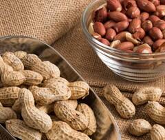Peanuts: ਕੀ ਮੂੰਗਫਲੀ ਖਾਣ ਨਾਲ ਵਧ ਸਕਦੈ ਸ਼ੂਗਰ ਦਾ ਖਤਰਾ?