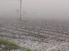 Intense Hailstorm Whitewashes Parts Of Gujarat As Sudden Rain Lashes State: See Pics