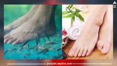 Fish Spa: ਫਿਸ਼ ਸਪਾ ਨਾਲ ਲੱਗ ਸਕਦੀਆਂ ਕਈ ਖਤਰਨਾਕ ਬਿਮਾਰੀਆਂ...ਆਓ ਜਾਣਦੇ ਹਾਂ!