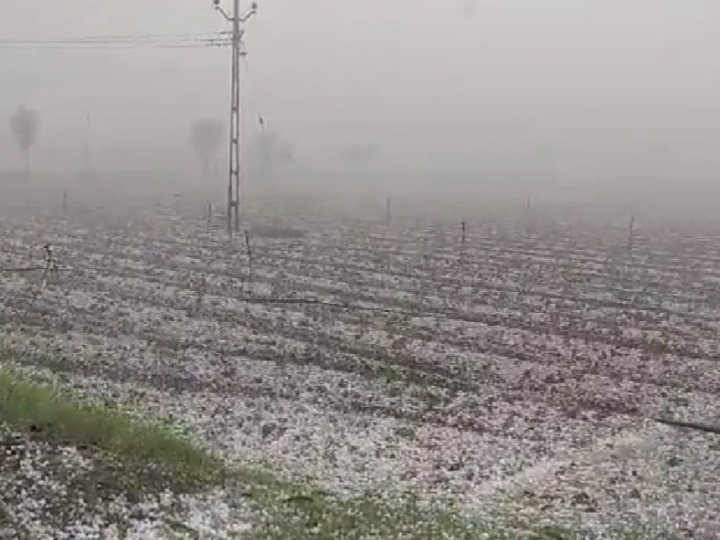 Intense Hailstorm Whitewashes Parts Of Gujarat As Sudden Rain Lashes State: See Pics