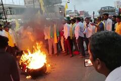 Pune News : धनगर समाज युवक संघटनेकडून रास्ता रोको आंदोलन; रस्त्यावर सोडली जनावरं अन् टायरची जाळपोळ