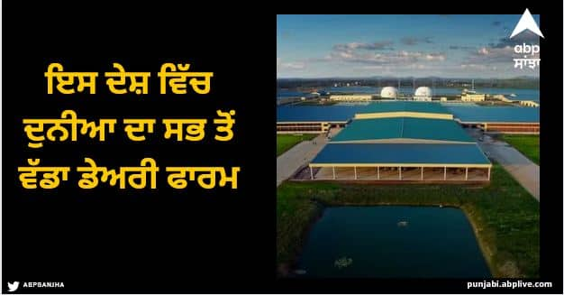 this country has the worlds largest dairy farm india is not in the top 5 list Largest Dairy Farm: ਇਸ ਦੇਸ਼ ਵਿੱਚ ਦੁਨੀਆ ਦਾ ਸਭ ਤੋਂ ਵੱਡਾ ਡੇਅਰੀ ਫਾਰਮ, ਟਾਪ 5 ਵਿੱਚ ਵੀ ਨਹੀਂ ਭਾਰਤ