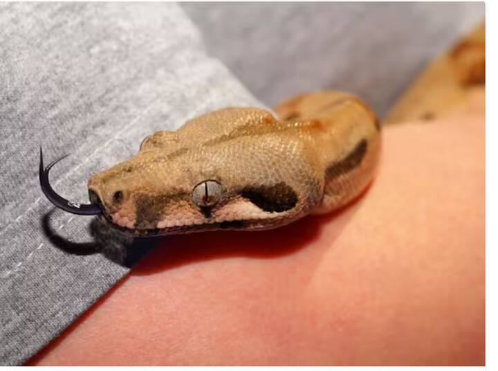 ਪਹਿਲਾਂ ਇਹ ਕੰਮ ਕਰਨ ਲਈ ਸਿਰਫ਼ 11 ਲੋਕ ਹੀ ਸੀ ਪਰ ਹੁਣ 350 ਤੋਂ ਵੱਧ ਲੋਕ ਇਹ ਕੰਮ ਕਰਦੇ ਹਨ। ਸਭ ਤੋਂ ਵੱਡੀ ਗੱਲ ਇਹ ਹੈ ਕਿ 150 ਤੋਂ ਜ਼ਿਆਦਾ ਮਹਿਲਾਵਾਂ ਇਹ ਕੰਮ ਕਰਦੀਆਂ ਹਨ।