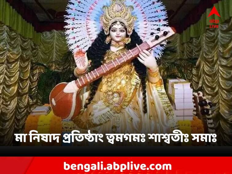 Saraswati pujo 2023 Mythology Purana story why color of this goddess is white Saraswati Puja: সরস্বতী ও তাঁর বাহন কেন শ্বেতশুভ্র? কী বলে পুরাণ?