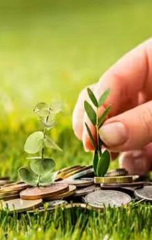 Wedding Season Trade : ਇਹ SFB ਗਾਹਕਾਂ ਨੂੰ ਸਿਰਫ਼ 3 ਸਾਲਾਂ ਦੀ FD 'ਤੇ 8.60 ਫ਼ੀਸਦੀ ਤੱਕ ਵਿਆਜ ਦੀ ਕਰ ਰਹੇ ਨੇ ਪੇਸ਼ਕਸ਼, ਪੂਰੀ ਸੂਚੀ ਵੇਖੋ