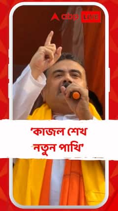 'নতুন পাখি উড়ছে কাজল শেখ, সব নজরে রয়েছে'