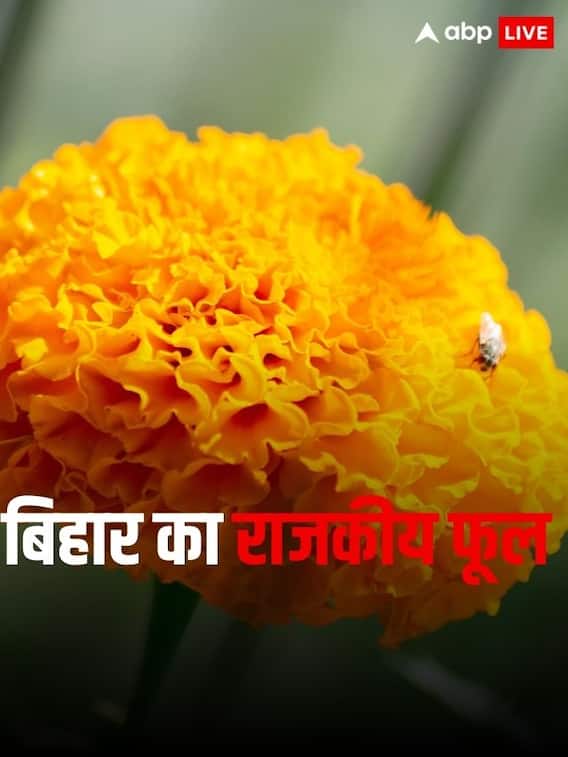 बिहार का राजकीय फूल कौन सा है?