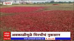 Nandurbar Unseasonal : नंदुरबार जिल्ह्यात अवकाळी पावसाचा शेतीला मोठा फटका