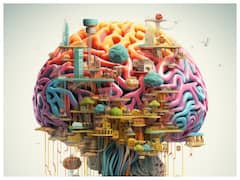 ब्रेन हेल्थ को सही रखने के लिए इस मौसम में खाएं ये चार चीजें, दिमाग रहेगा दुरुस्त