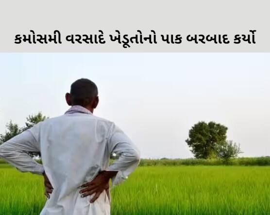 Unseasonal rain on Sunday damaged farmers crops  Gujarat Farmers: રવિવારે પડેલા કમોસમી વરસાદે ખેડૂતોનો પાક બરબાદ કર્યો, વ્યાપક નુકસાન