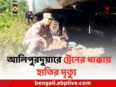 রেললাইন পার হওয়াই কাল হল, চলন্ত ট্রেনের সামনে শাবক-সহ হাতির দল