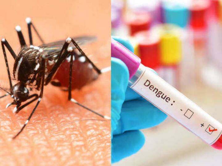Increase in dengue prevalence in Trichy. 18 people affected by dengue fever.. திருச்சியில் அதிகரிக்கும் டெங்கு காய்ச்சல் பாதிப்பு! 18 பேர் மருத்துவமனையில் அனுமதி