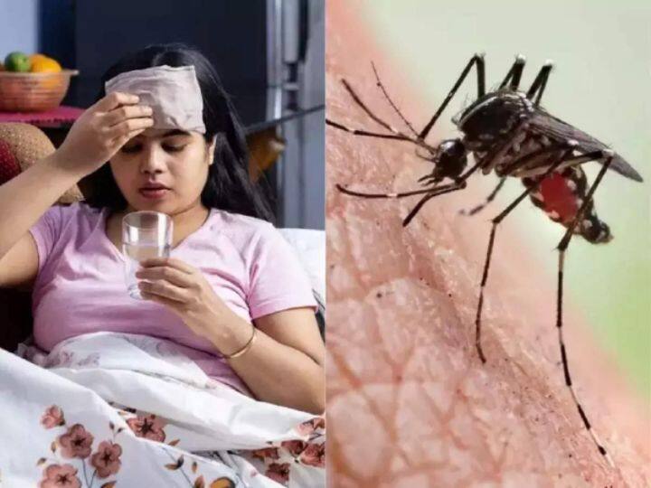 திருச்சியில் அதிகரிக்கும் டெங்கு காய்ச்சல் பாதிப்பு! 18 பேர் மருத்துவமனையில் அனுமதி