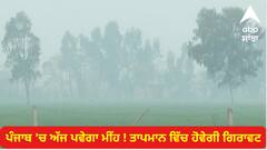 Punjab Weather: ਪੰਜਾਬ 'ਚ ਅੱਜ ਪਵੇਗਾ ਮੀਂਹ ! ਵਧੇਗੀ ਠੰਢ, ਹਵਾ ਵਿੱਚ ਹੋਵੇਗਾ ਸੁਧਾਰ