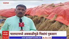 Palghar Rain : पालघरमध्ये अवकाळीमुळे पिकांचं नुकसान , गवत पावली खरेदी करणाऱ्या व्यापाऱ्यांचं नुकसान