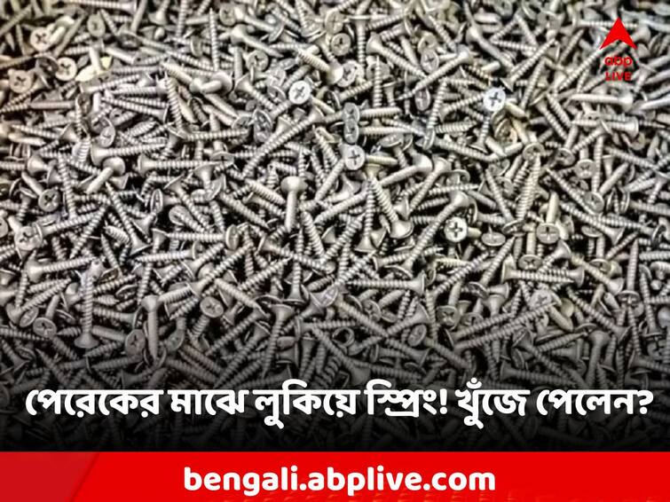 Optical Illusion A spring hidden among thousands of nails! Did you see Optical Illusion: হাজার হাজার পেরেকের মাঝে লুকিয়ে একটি স্প্রিং! আপনি দেখতে পেলেন?