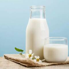 Cow Milk vs Buffalo Milk: ਗਾਂ ਤੇ ਮੱਝ ਦੇ ਦੁੱਧ 'ਚ ਕੀ ਹੈ ਫਰਕ? ਜਾਣੋ ਚੰਗੀ ਸਿਹਤ ਲਈ ਕਿਸ ਦਾ ਕਰਨਾ ਚਾਹੀਦਾ ਸੇਵਨ