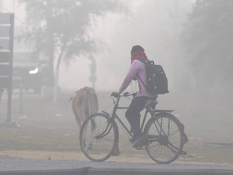 North India Delhi NCR Winter UP Haryana Punjab Fog Temperature Drop Weather Updates Winters To Intensify In North India As IMD Predicts Dip In Mercury By 2-3 Degrees