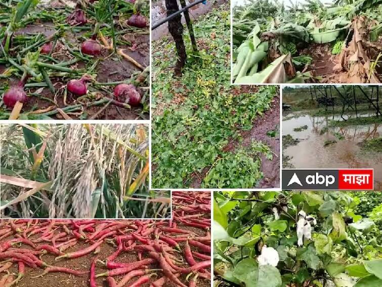 maharashtra unseasonal heavy rain in vidharbha loss of crops due to rain and hail weather update अवकाळी पावसाने पुन्हा फुटला शेतकऱ्यांच्या अश्रूंचा बांध; विदर्भासह राज्यभरातील शेतकऱ्यांचे अतोनात नुकसान